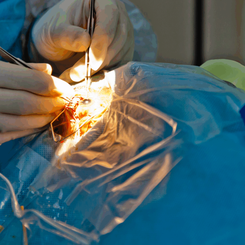 Doctor with consultant (10)